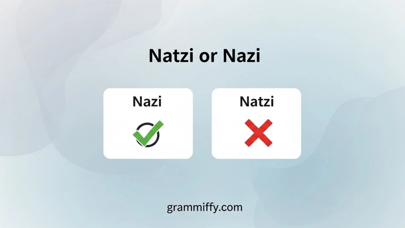 Natzi or Nazi
