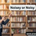 Noisey or Noisy