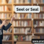 Seel or Seal