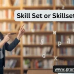 Skill Set or Skillset