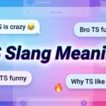 TS Slang Meaning