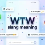 WTW Slang Meaning